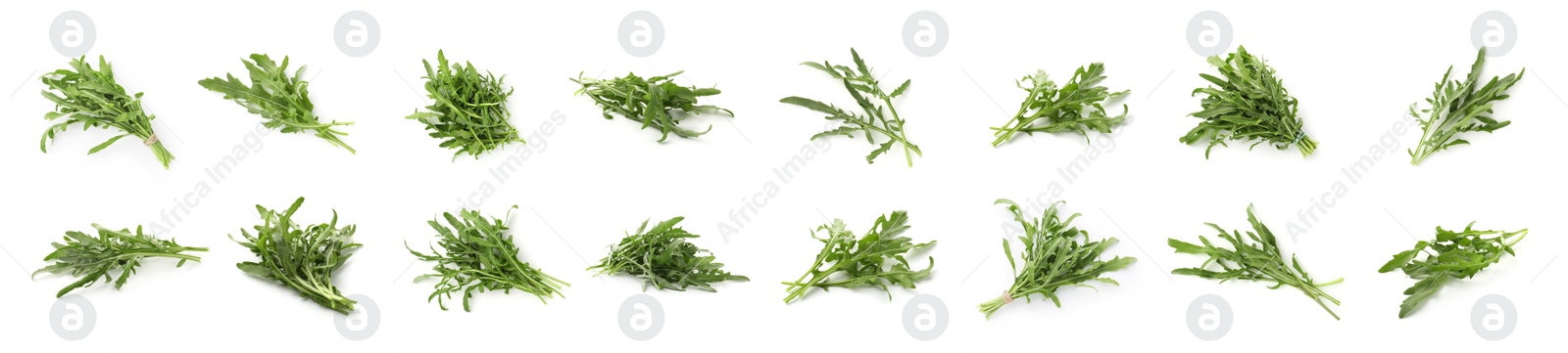Image of Fresh green arugula on white background, set