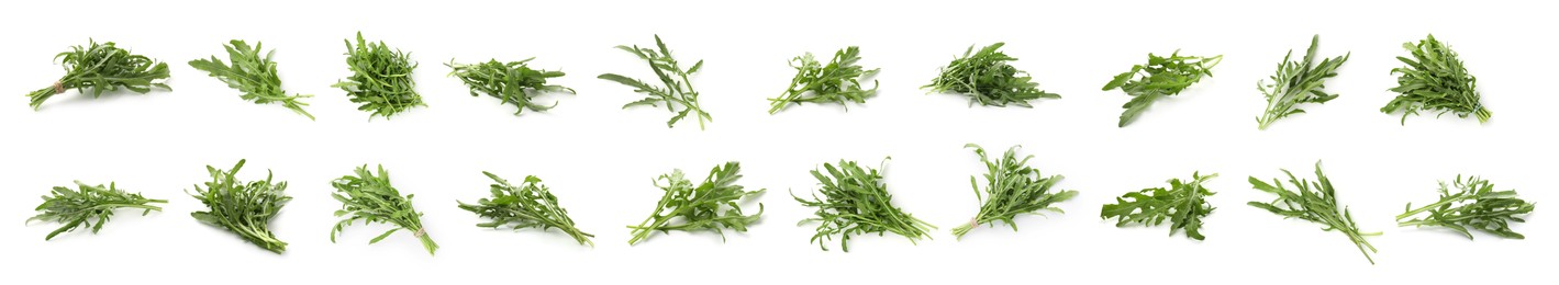 Image of Fresh green arugula on white background, set