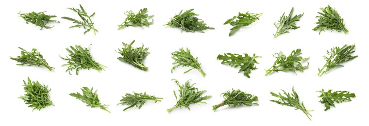 Image of Fresh green arugula on white background, set