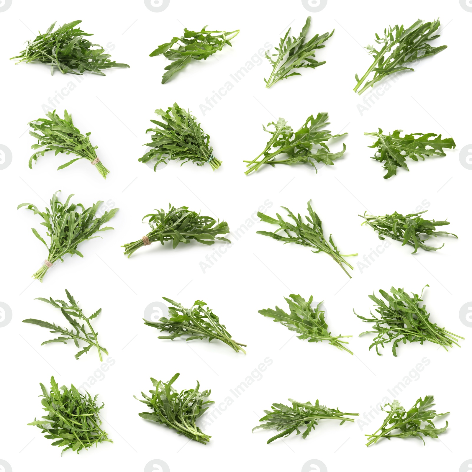 Fresh green arugula on white background, set Image of Fresh green arugula on white background, set
