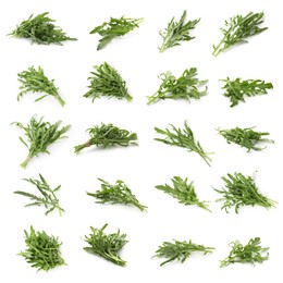Image of Fresh green arugula on white background, set
