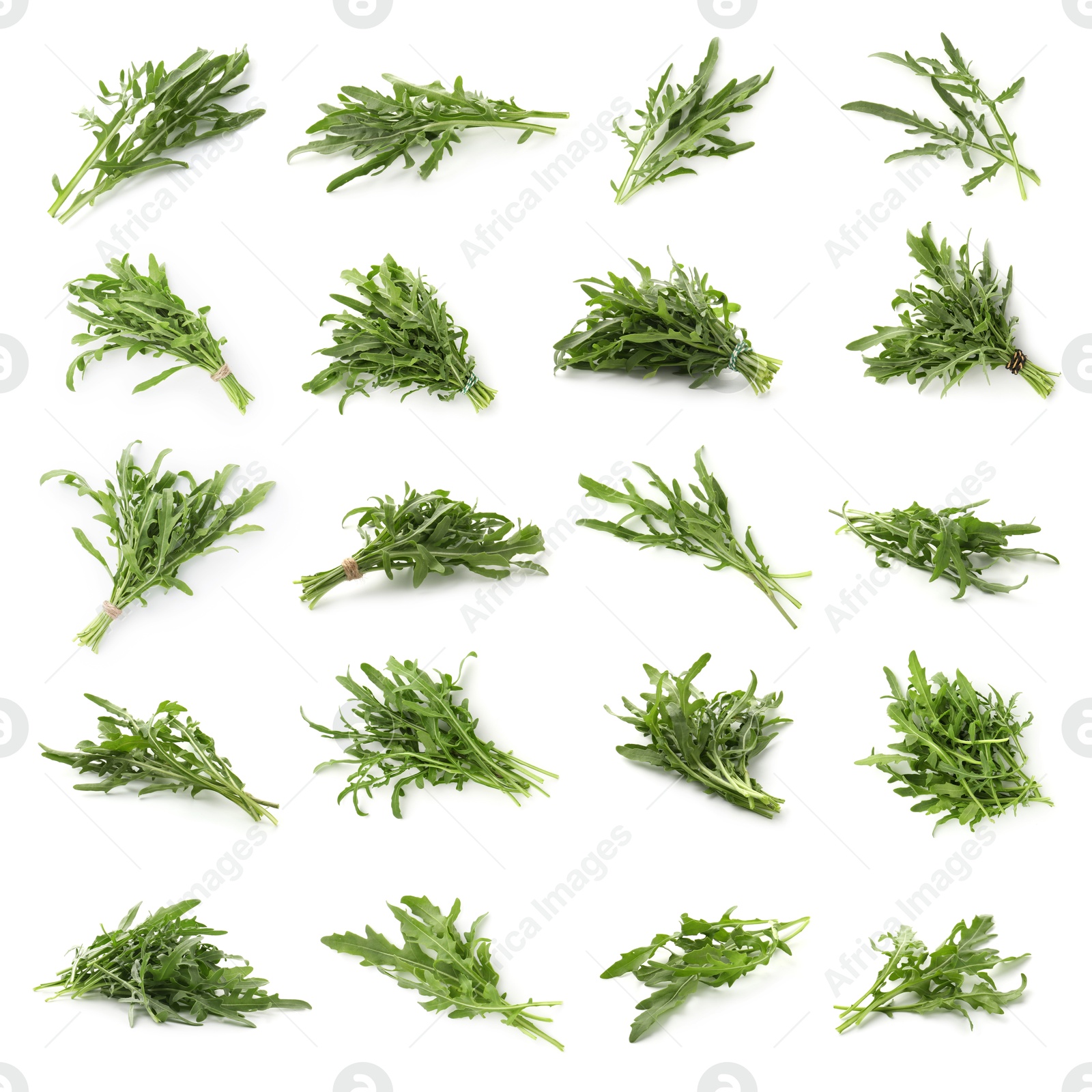 Fresh green arugula on white background, set Image of Fresh green arugula on white background, set