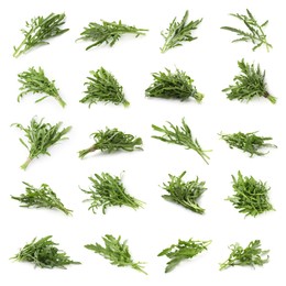 Image of Fresh green arugula on white background, set