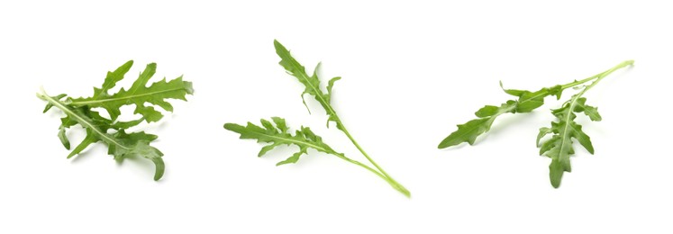 Image of Fresh green arugula on white background, set