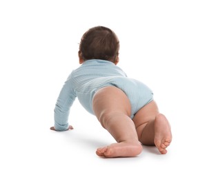 Photo of Cute little baby crawling on white background, back view