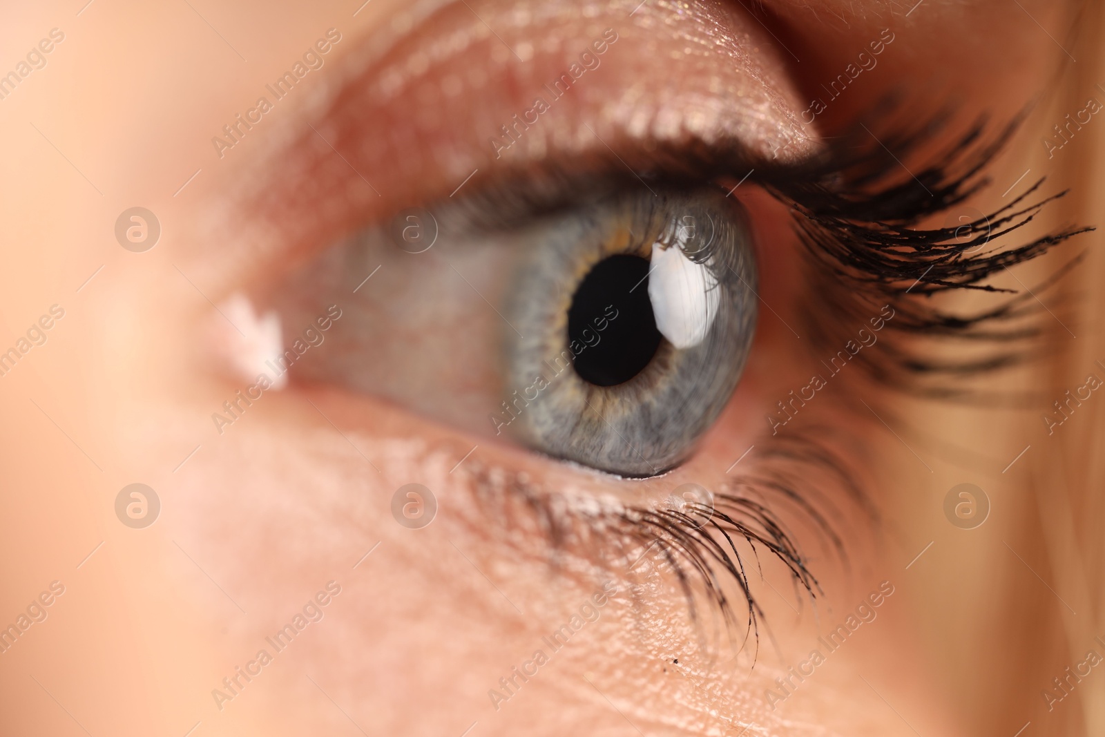 Photo of Macro view of woman with beautiful eyes