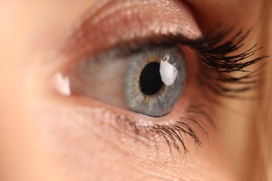 Photo of Macro view of woman with beautiful eyes