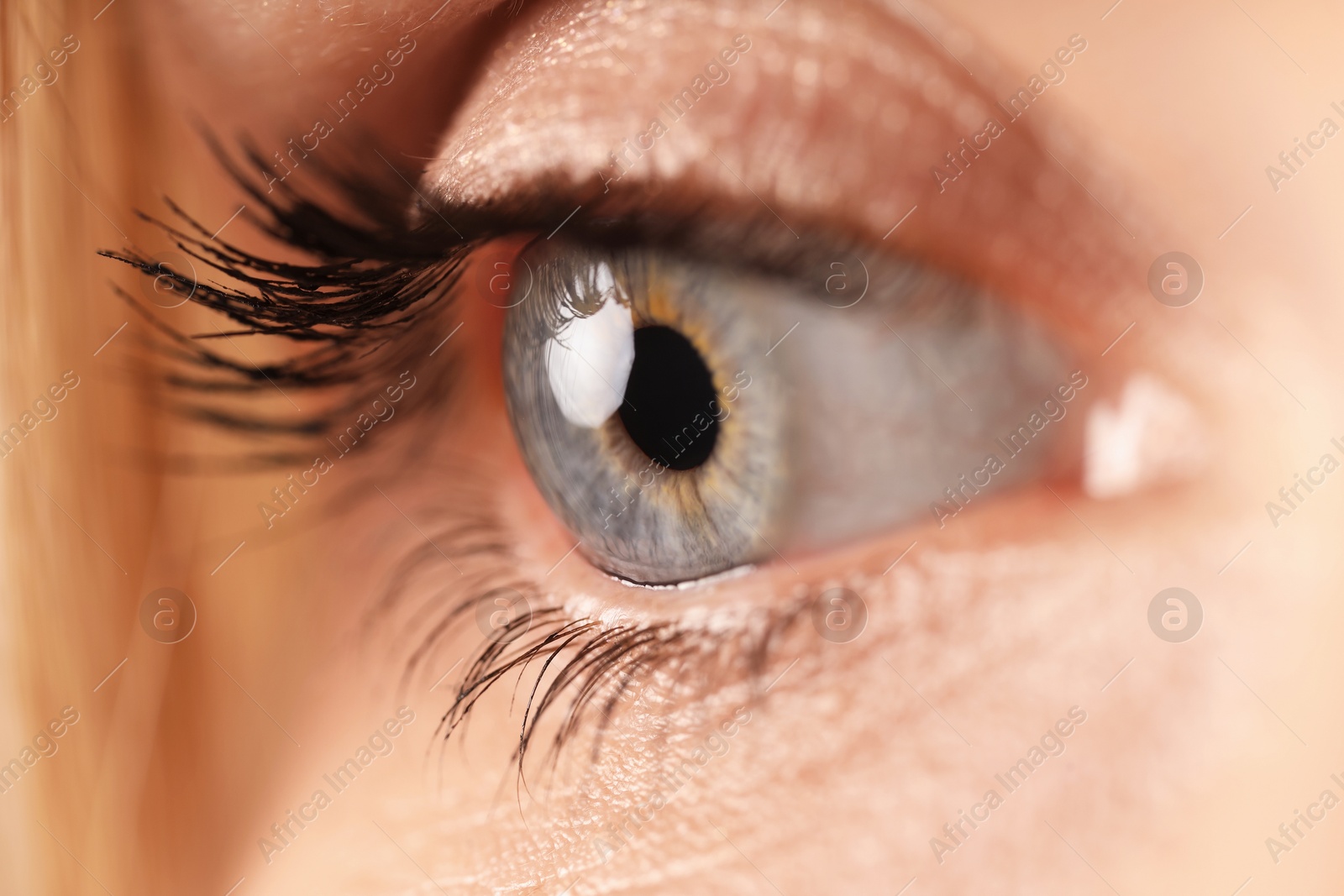 Photo of Macro view of woman with beautiful eyes