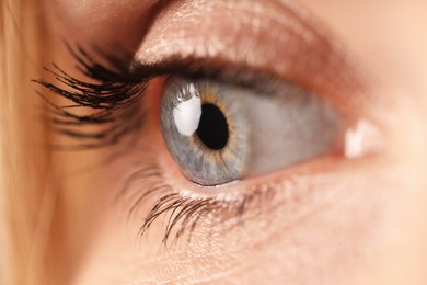 Photo of Macro view of woman with beautiful eyes