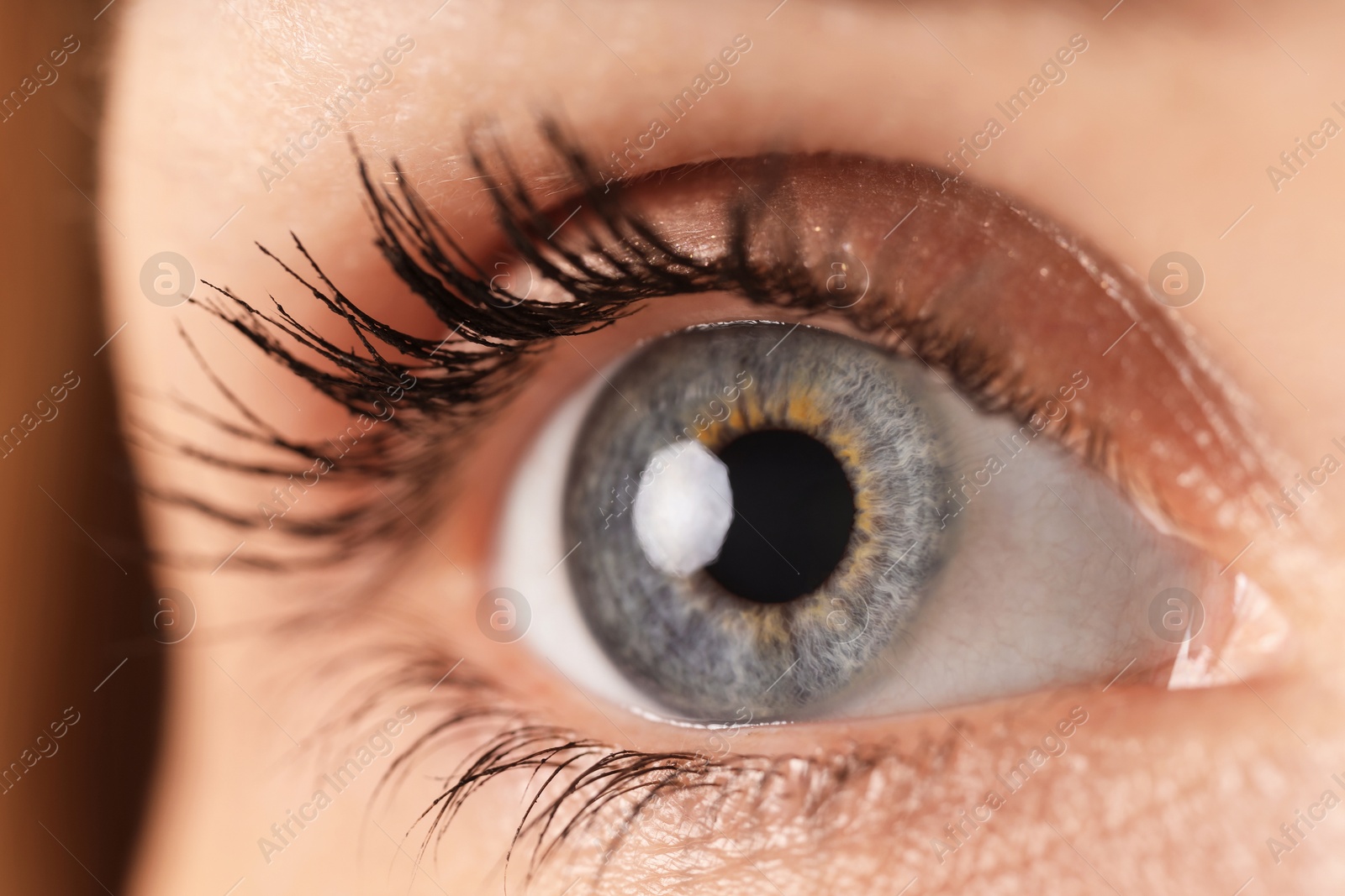 Photo of Macro view of woman with beautiful eyes