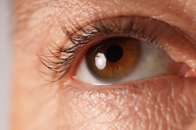 Photo of Man with beautiful brown eyes, macro view