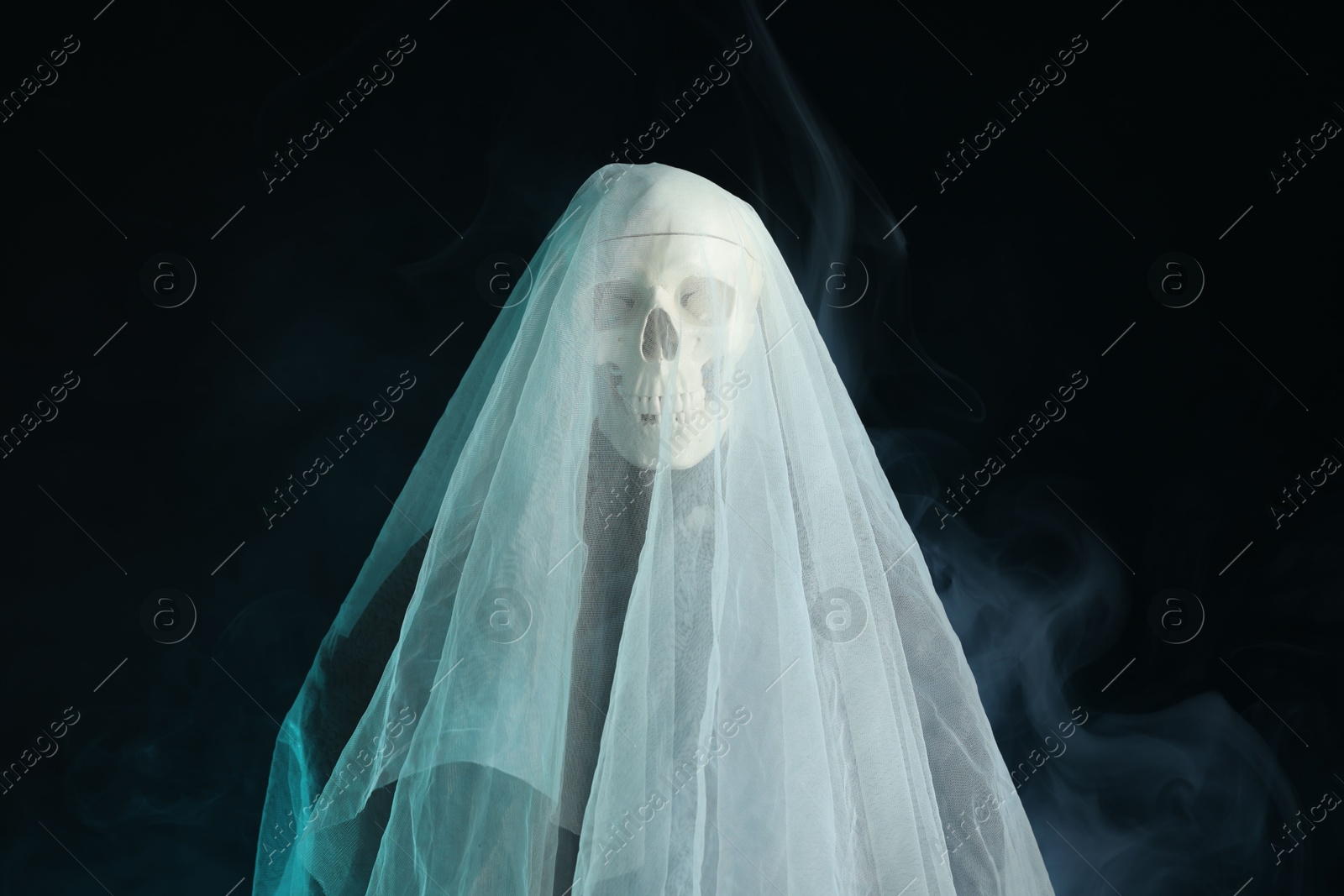 Creepy ghost. Skeleton covered with white sheet in smoke on black background Photo of Creepy ghost. Skeleton covered with white sheet in smoke on black background