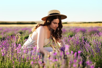 Photo of Beautiful young woman with lavender flowers and wicker bag in field