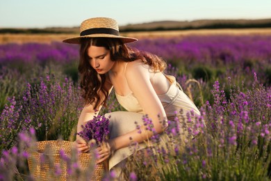 Photo of Beautiful young woman with lavender flowers and wicker bag in field