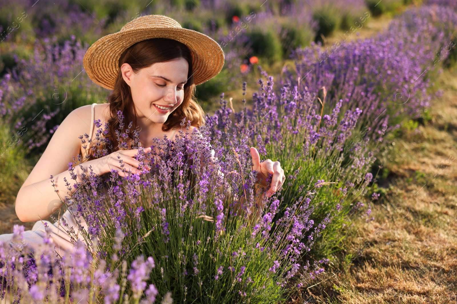 Beautiful young woman among lavender flowers in field Photo of Beautiful young woman among lavender flowers in field