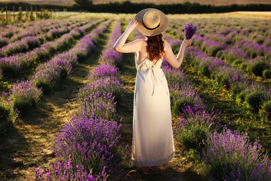Photo of Woman with beautiful lavender flowers in field, back view
