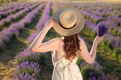 Photo of Woman with beautiful lavender flowers in field, back view