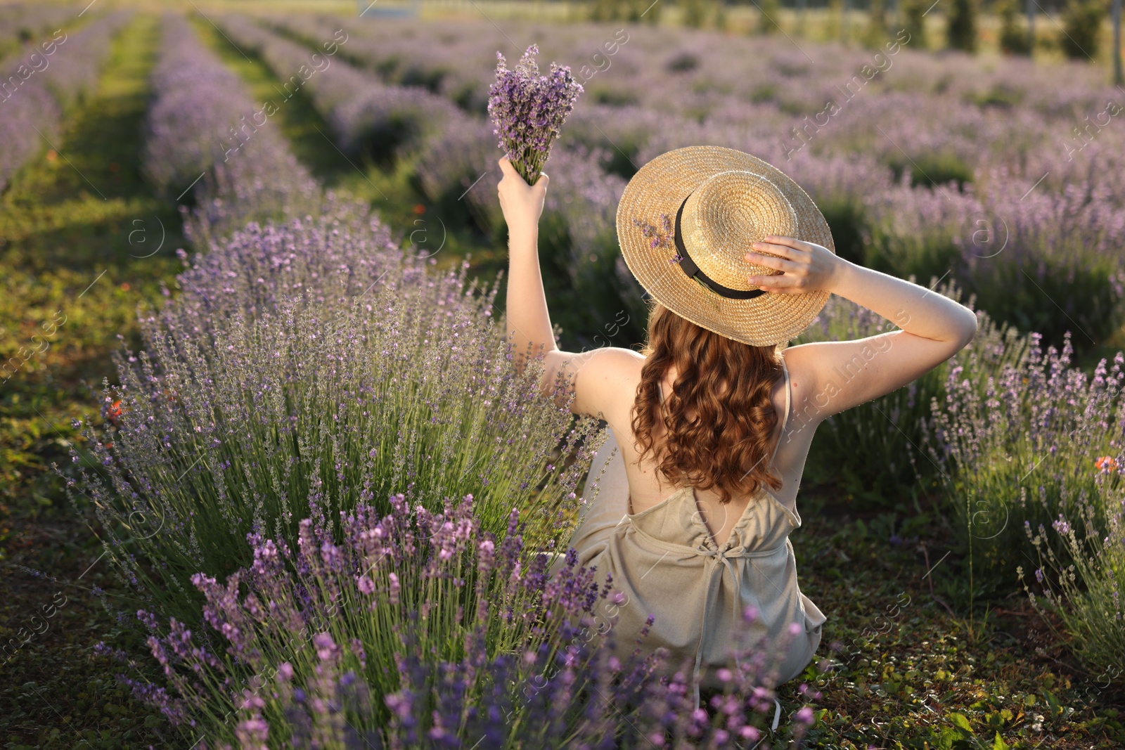 Woman with beautiful lavender flowers in field, back view Photo of Woman with beautiful lavender flowers in field, back view