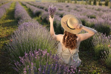 Photo of Woman with beautiful lavender flowers in field, back view