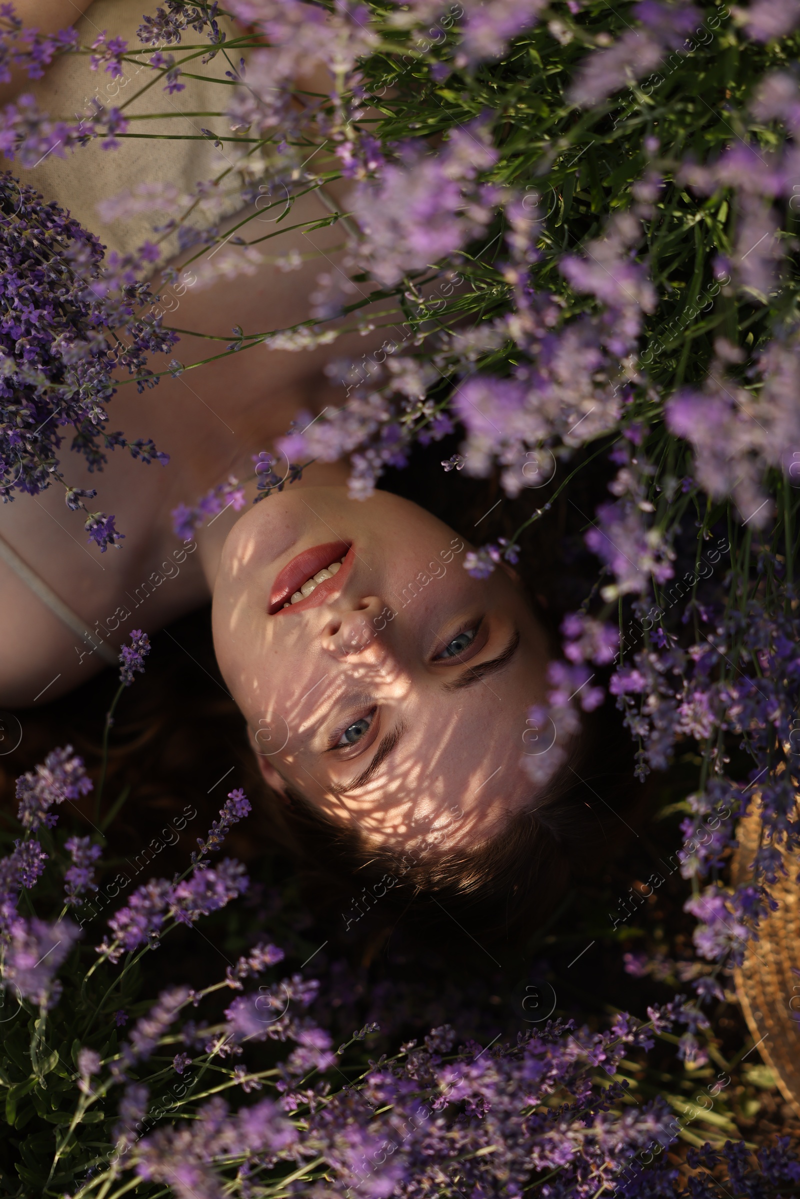 Beautiful young woman lying among lavender flowers outdoors, top view Photo of Beautiful young woman lying among lavender flowers outdoors, top view