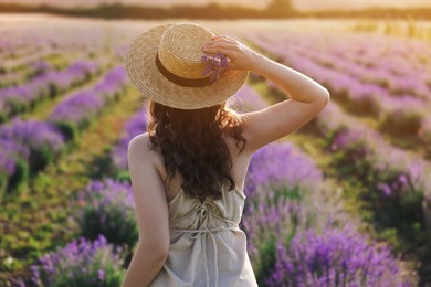 Photo of Woman with straw hat and beautiful flowers in lavender field, back view