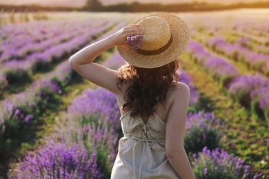 Photo of Woman with straw hat and beautiful flowers in lavender field, back view