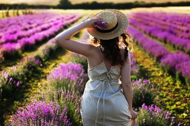 Photo of Woman with straw hat and beautiful flowers in lavender field, back view