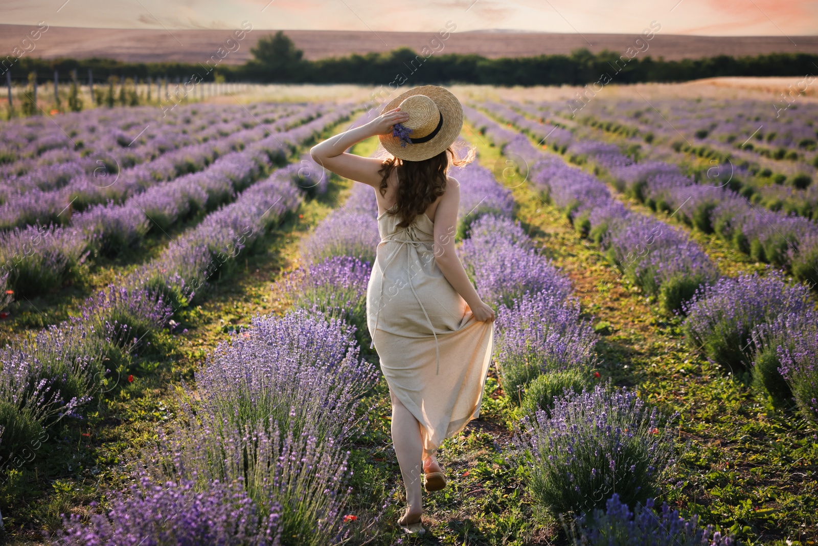 Woman with straw hat and beautiful flowers running through lavender field Photo of Woman with straw hat and beautiful flowers running through lavender field