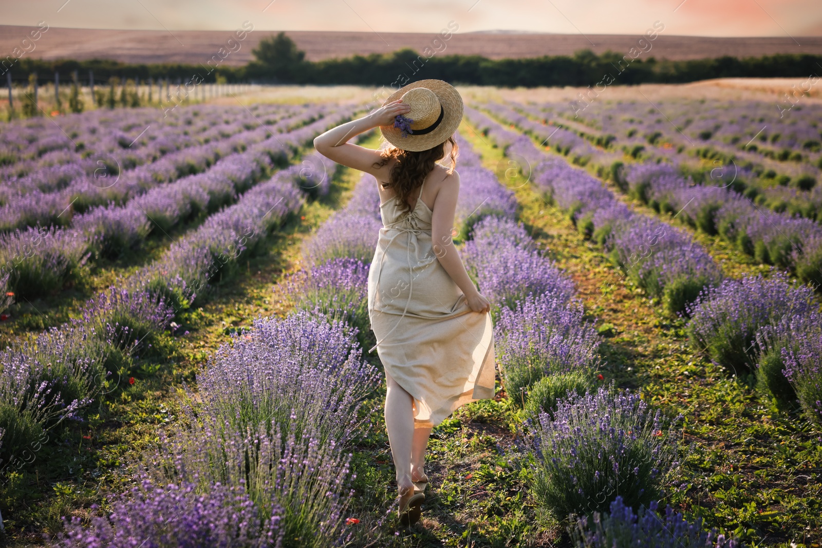 Photo of Woman with straw hat and beautiful flowers running through lavender field