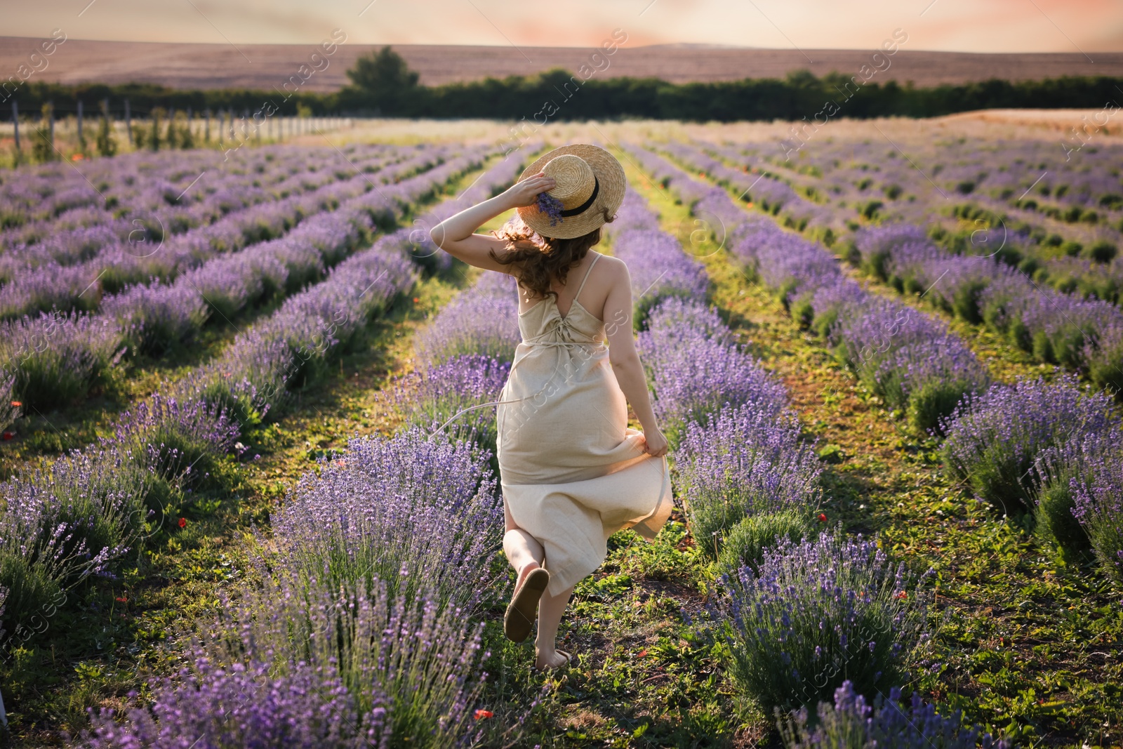 Photo of Woman with straw hat and beautiful flowers running through lavender field