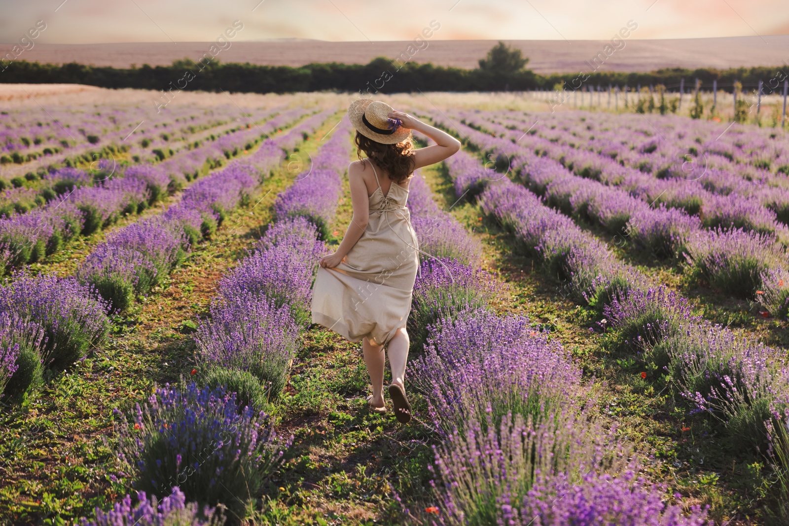 Woman with straw hat and beautiful flowers running through lavender field Photo of Woman with straw hat and beautiful flowers running through lavender field