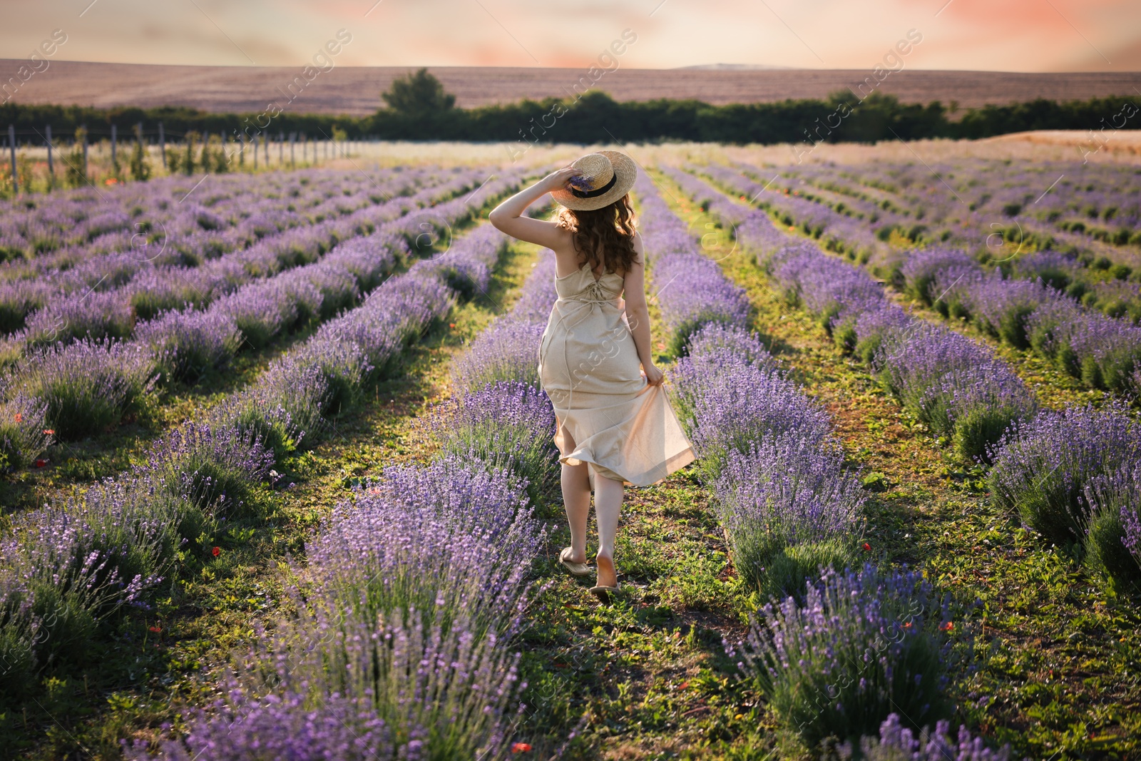 Photo of Woman with straw hat and beautiful flowers running through lavender field