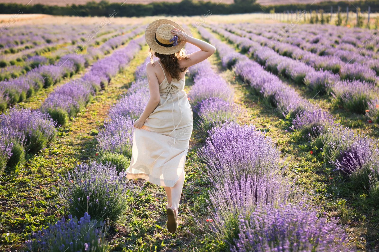 Photo of Woman with straw hat and beautiful flowers running through lavender field