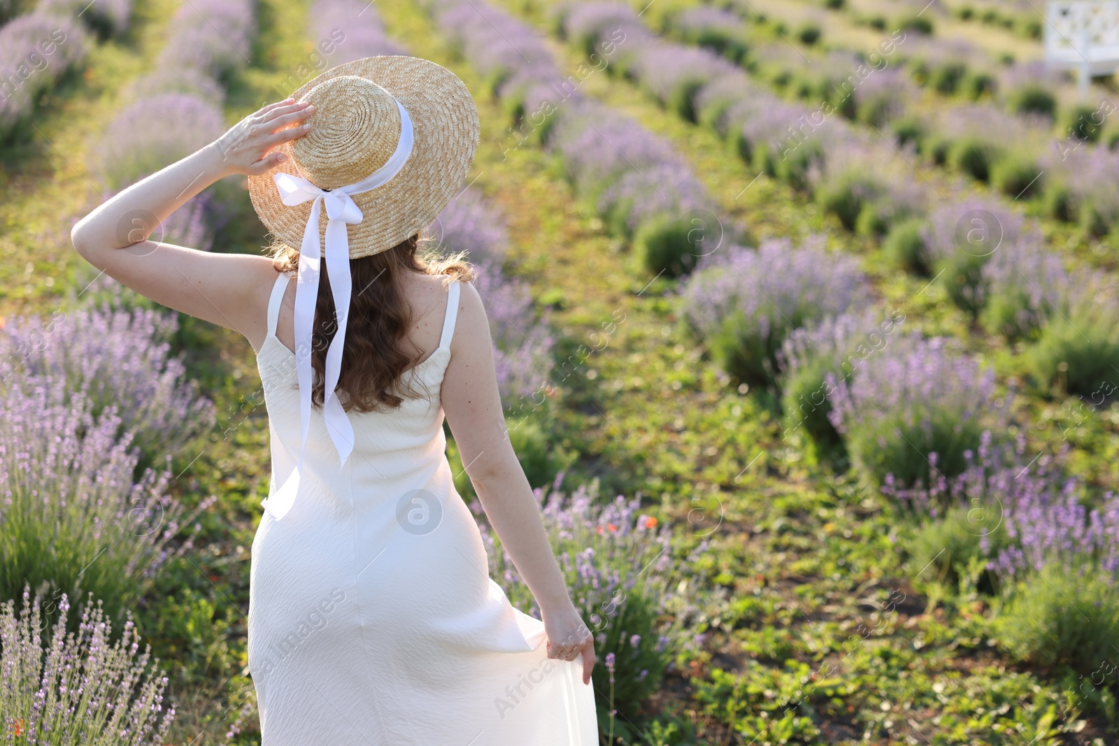 Photo of Woman with straw hat in lavender field, back view. Space for text