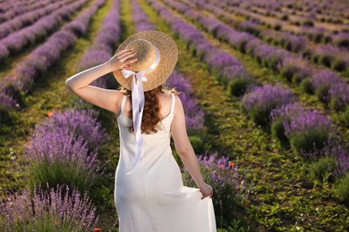 Photo of Woman with straw hat in lavender field, back view