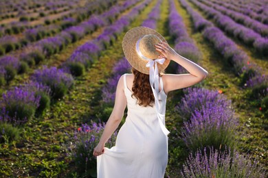 Photo of Woman with straw hat in lavender field, back view