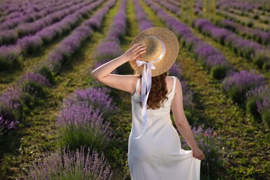 Photo of Woman with straw hat in lavender field, back view