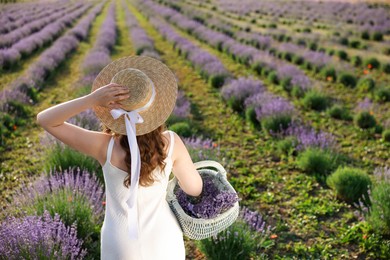Photo of Woman with straw hat and basket of beautiful flowers in lavender field, back view