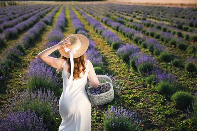 Photo of Woman with straw hat and basket of beautiful flowers walking in lavender field, back view