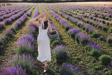 Photo of Woman with straw hat and basket of beautiful flowers running through lavender field, back view