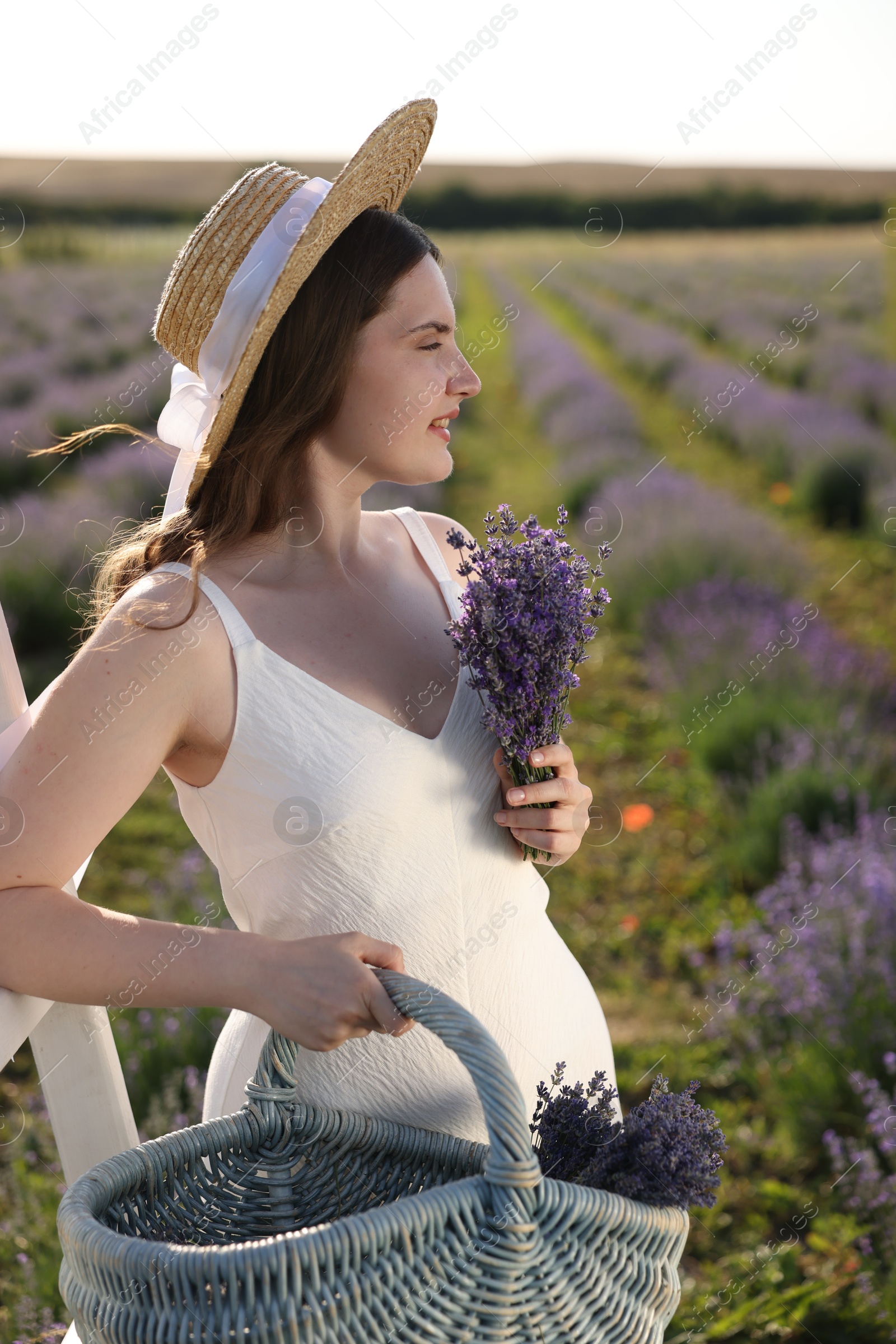 Beautiful young woman with lavender flowers and wicker basket in field Photo of Beautiful young woman with lavender flowers and wicker basket in field