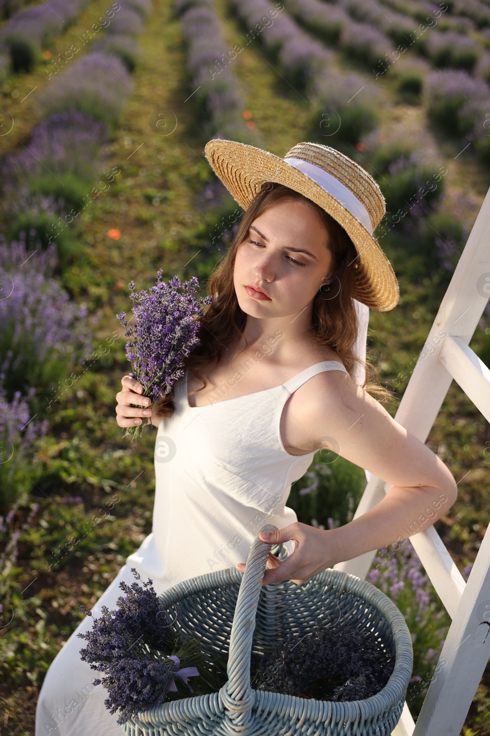 Photo of Beautiful young woman with lavender flowers and wicker basket in field