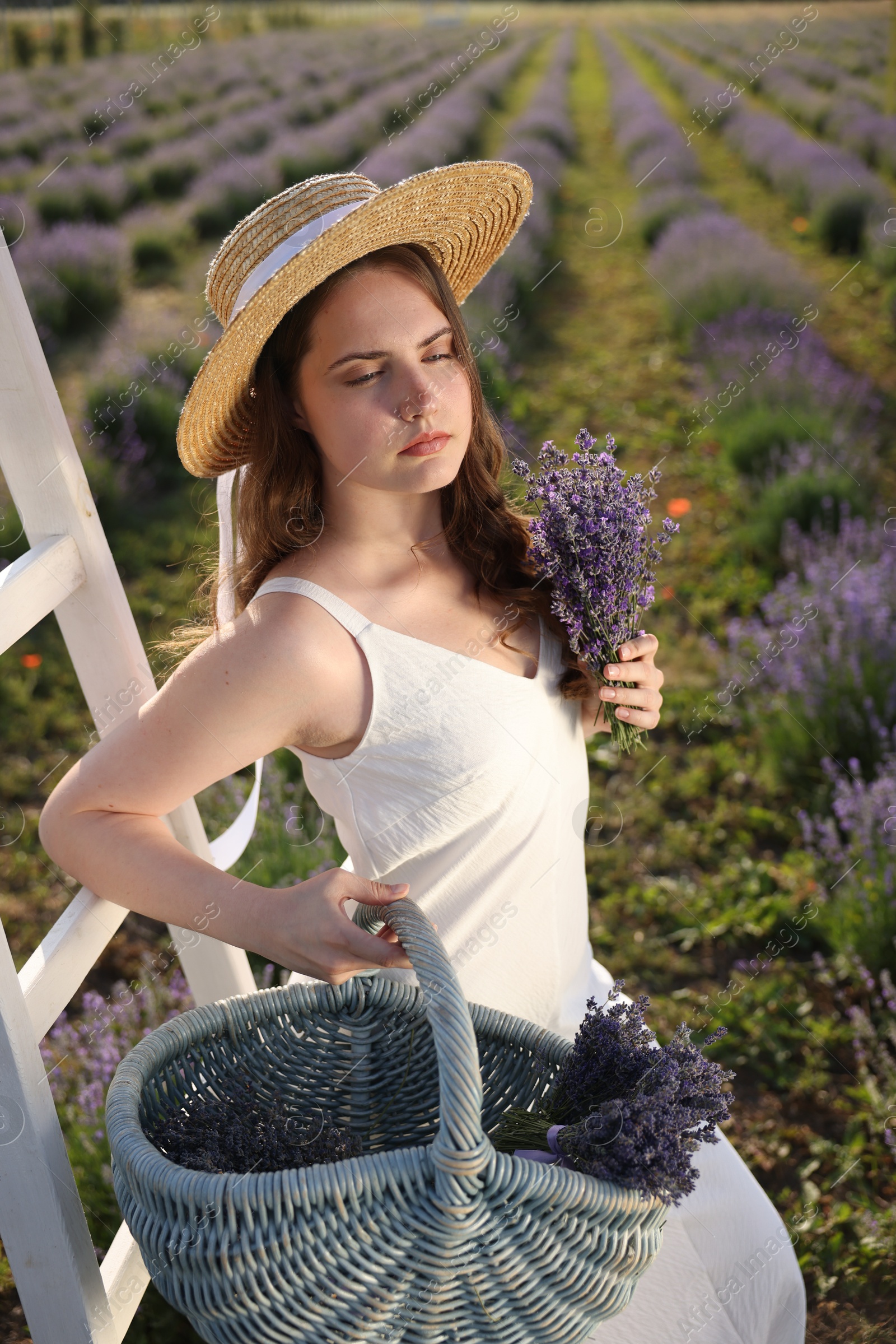 Photo of Beautiful young woman with lavender flowers and wicker basket in field