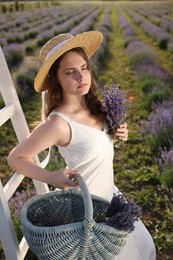 Photo of Beautiful young woman with lavender flowers and wicker basket in field