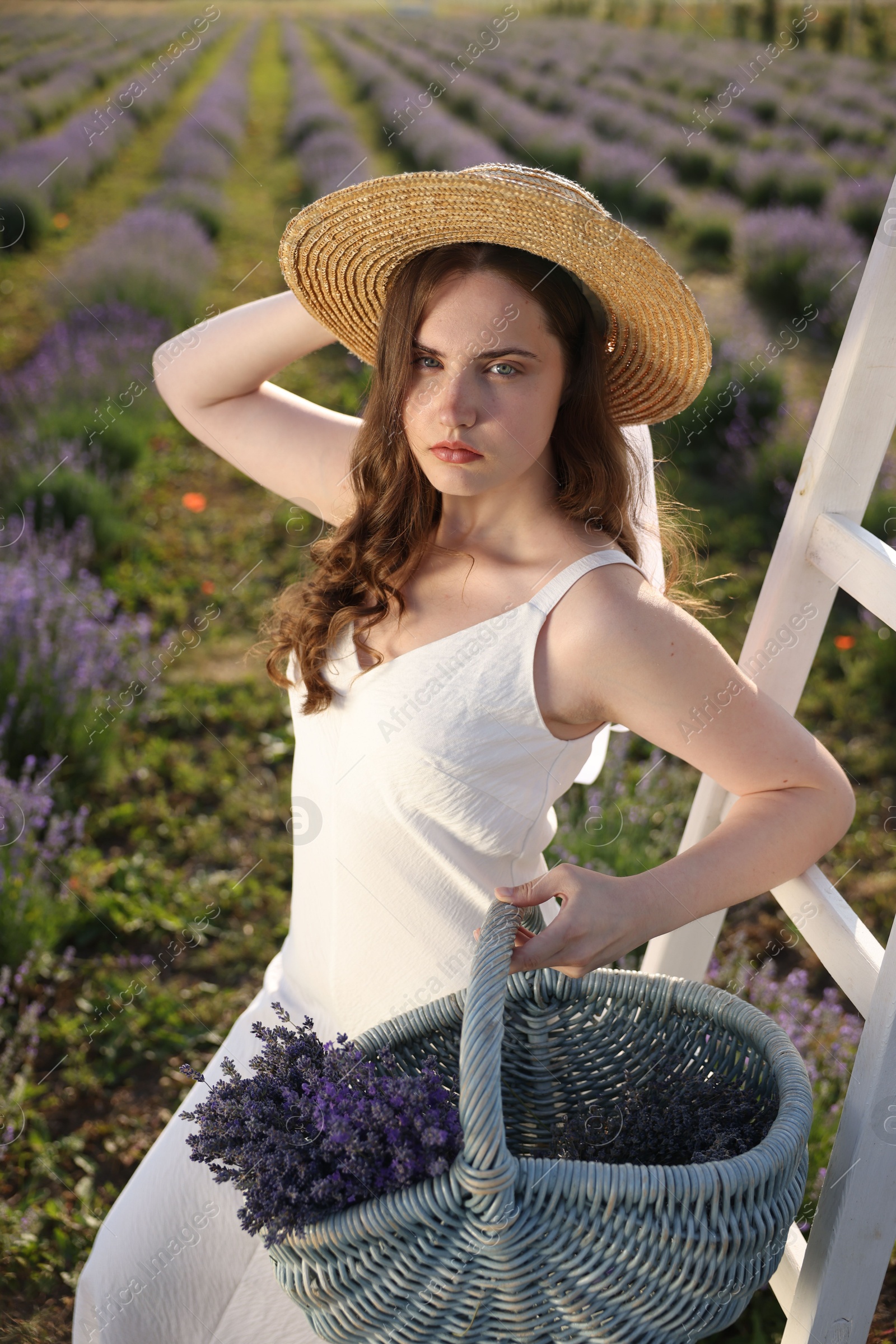 Photo of Beautiful young woman with lavender flowers and wicker basket in field