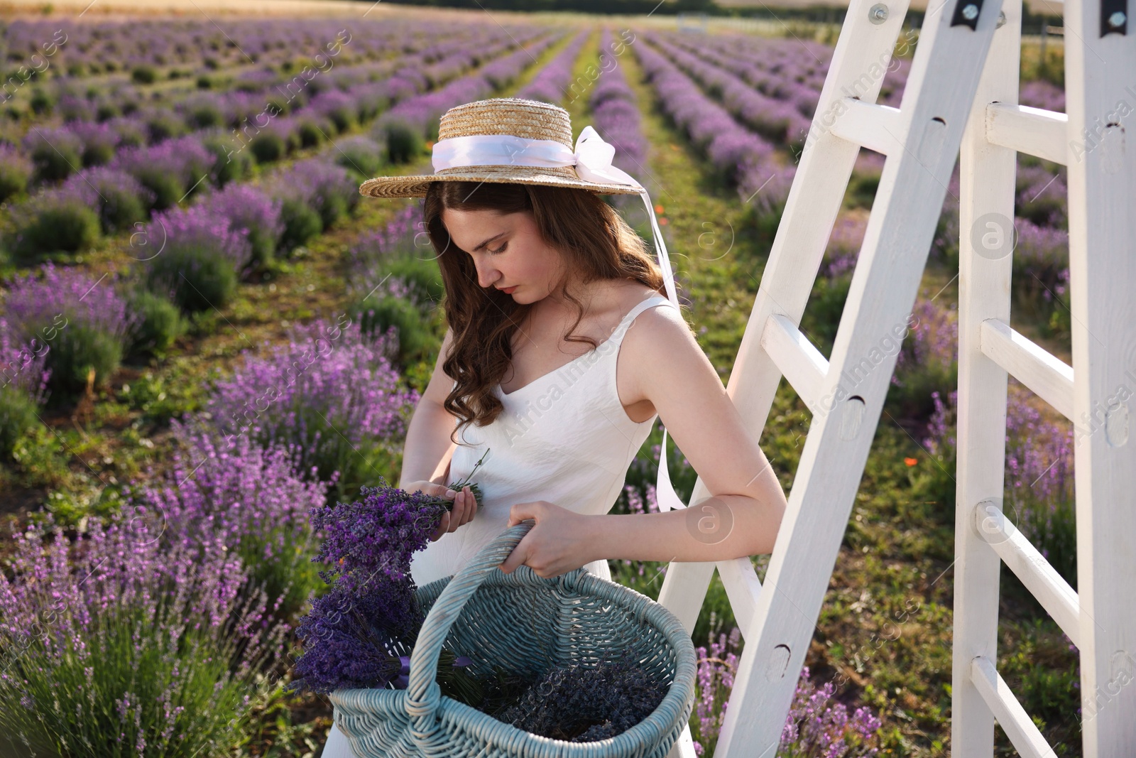 Photo of Beautiful young woman with lavender flowers and wicker basket in field