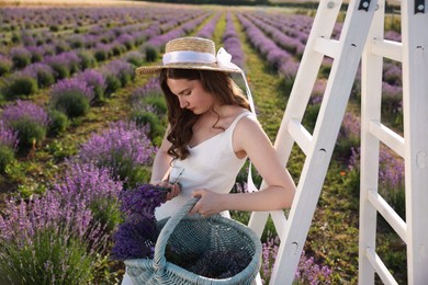 Photo of Beautiful young woman with lavender flowers and wicker basket in field