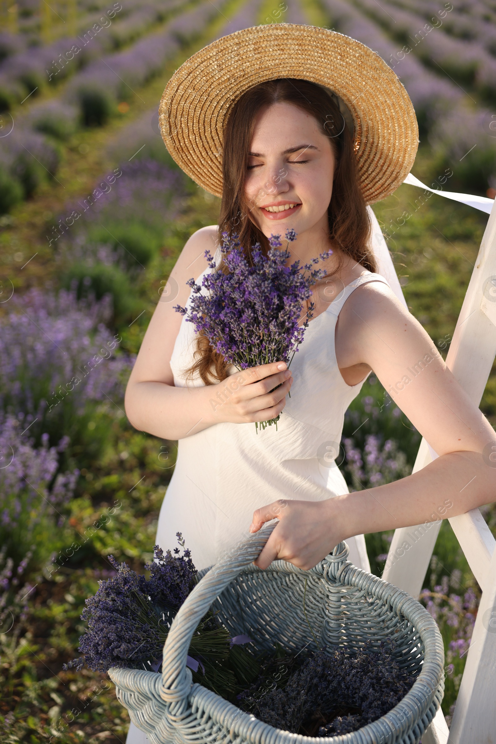 Photo of Beautiful young woman with lavender flowers and wicker basket in field