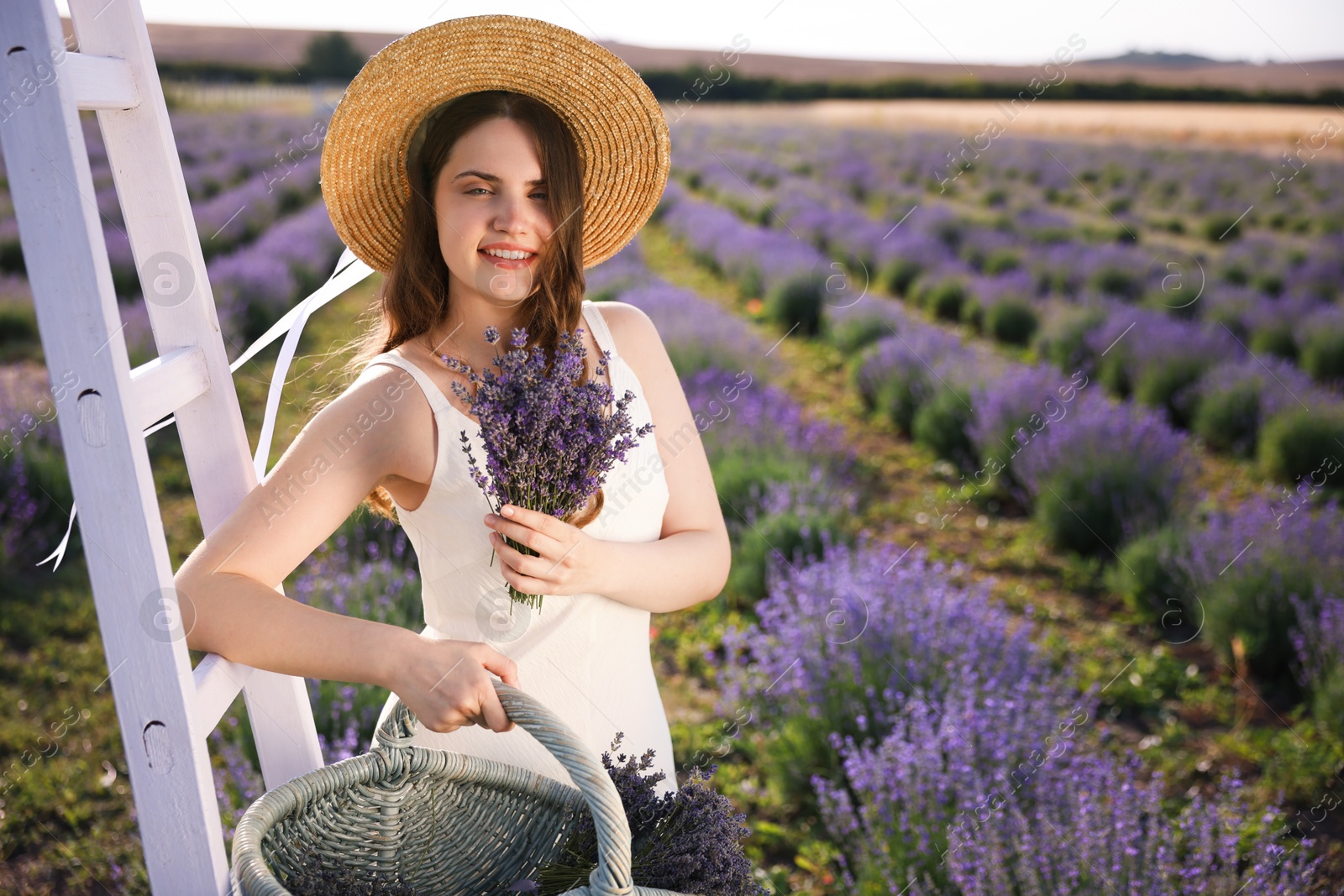 Photo of Beautiful young woman with lavender flowers and wicker basket in field