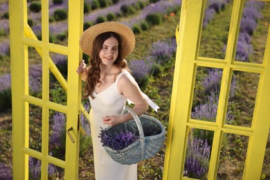 Photo of Beautiful young woman with wicker basket of lavender flowers near yellow decorative door frame in field